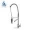 Gooseneck Spring Flexible Sink Kitchen Mixer Water Mixture Tap With Purification Faucet Brass Sprayer Pull Down For Pressure