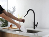 High Arc Sink Faucet With Sprayer Matte Black Plumbing Faucet