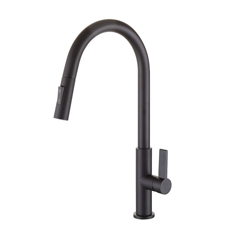 Sink Faucet With Sprayer