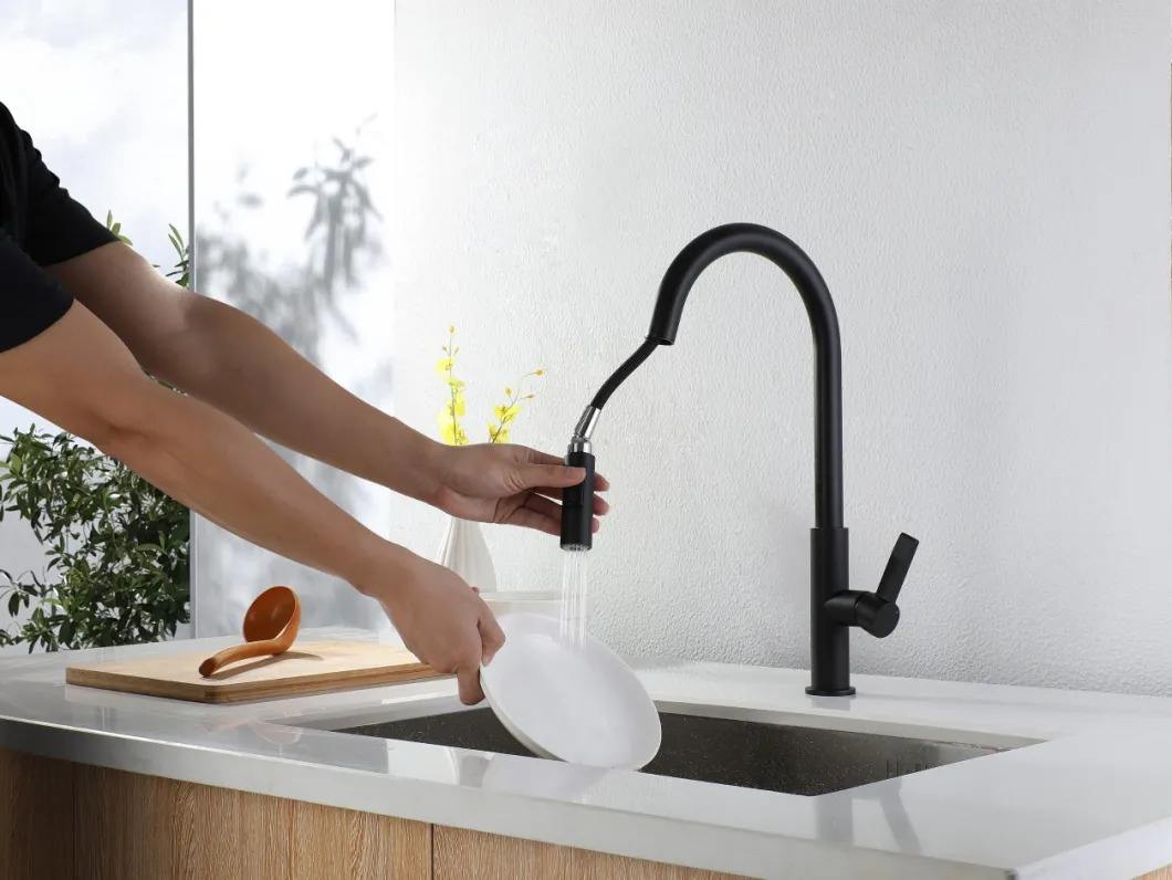 black faucet for kitchen